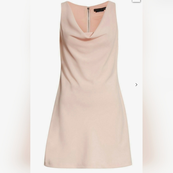 ALICE & OLIVIA NWT- Harmony Mini Racerback Dress in Blush - Picture 14 of 14
